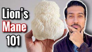 Lion's Mane Mushroom for Anxiety and Brain Function | Does Lion’s Mane Work?