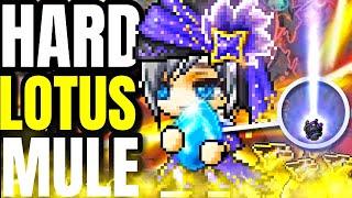 Are Black Heart Farmer Mules STILL Worth Making in Maplestory 2025