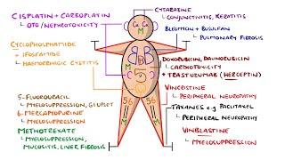 The Chemo Tox Man - Learn Chemotherapy Side Effects in 3 Minutes