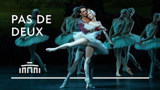 Ballet fragment Olga Smirnova and Constantine Allen [Swan Lake] | Dutch National Ballet