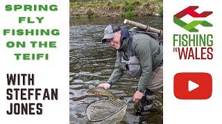 Spring Fly Fishing on The River Teifi West Wales