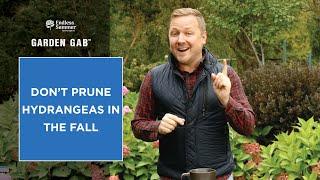 Don't Prune Hydrangeas in the Fall