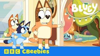 Bluey finds a fun way to do Housework! | CBeebies