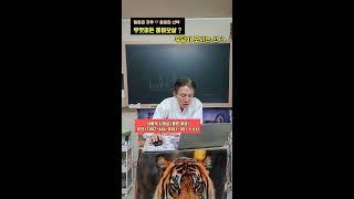 무당이 모시는 신 ? 왜 ? 몸에 실려야 될까? #무당 #굿 #신기 #진오기 #굿거리