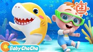 Baby Shark (Family Version) | Baby Shark Doo Doo Doo Dance + Baby ChaCha Nursery Rhymes & Kids Songs