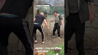 ПОСТУПОК , ДОСТОЙНЫЙ НАГРАДЫ . СПАСЕНИЕ УТКИ  #домвдеревне #добро #спасение