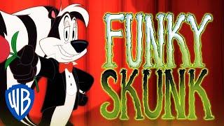 Merry Melodies: 'Skunk Funk' ft. Pepé Le Pew | Looney Tunes SING-ALONG | WB Kids