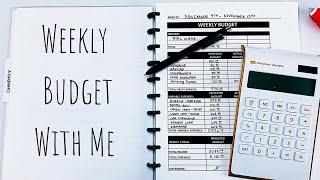 Weekly Budget With Me #budgetwithme #budgetplanner