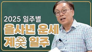 일주별 을사년 운세 - 계일주(계묘/계사/계미/계유/계해/계축)