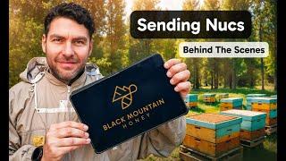 Sending Nucs - BEHIND THE SCENES