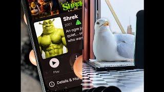 Surprising My Pet Seagull With His Favourite Movie!