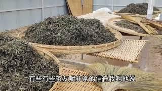 “价格贵的茶，一定就好喝？”大家是这样认为的吗？