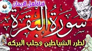 سورة البقرة كاملة مكررة لطرد الشياطين والجن والسحر والحسد وجلب الرزق والبركة تحصين surat albaqara