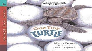 One Tiny Turtle: Read and Wonder Read Aloud Bedtime Stories For Kids