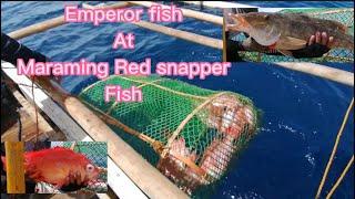 Bobo Fishing (Fish trap) Compilation