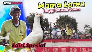 Jost ‼️ Mama Loren ' Tim Ada Kamar Type Tinggi Bawah Mukul LOSSBOOM |BMC Bligo Pekalongan