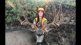 "UNBELIEVABLE” - 207" Mule Deer High Country Hunt