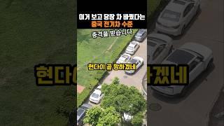 이거 보고 당장 차 바꿨다는 중국 전기차 수준