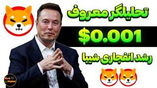 تحلیلگر معروف: رشد انفجاری شیبا بزودی شروع میشود؟ | قیمت شیبا اینو0.001$؟