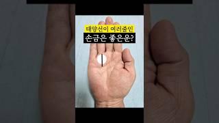 태양선이 여러줄인손금!집중해야하는손금 #손금 #손금보기 #손금보는법