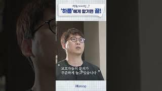 동물병원 외과 수술 문의가 계속 늘어요 #병원마케팅 #동물병원마케팅 #병원광고 #병원홍보