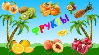 Учим фрукты в тропиках - мультфильм для детей