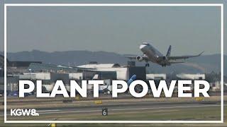 Washington State researchers produce sustainable jet fuel from plant waste