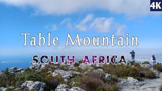 Cape Town, Table Mountain and the Cape Peninsula, South Africa [Amazing Places 4K] @sakibsazal