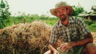 Seeds of Permaculture - Tropical Permaculture