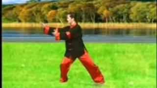 Yang-Style Tai Chi 40 Form