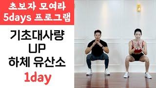 1day [다솔맘 NEW 5days 프로그램] 무슨 운동을 해야 할지 모르는 분들을 위한 하체 유산소 20분 운동 - 하체 근력을 키우고 기초대사량을 올리는 운동