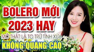 Chiều Hạ Vàng, Hái Trộm Hoa Rừng - LK Nhạc Hay Rumba Mới Còn Mãi Theo Thời Gian