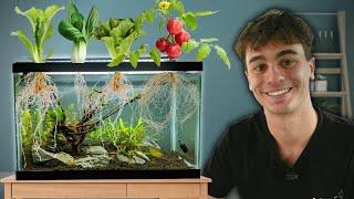 I Grew 7 Easy Vegetables in My Aquarium!