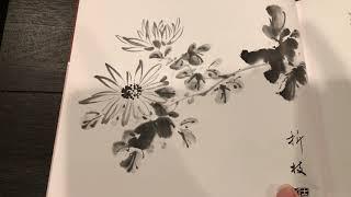 Fundamentals of Chinese Floral Painting V4: Chrysanthemum Video Book Review by Oriental Art Supply