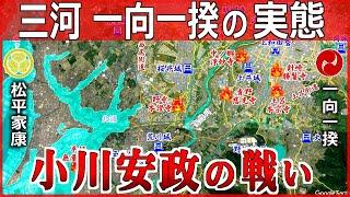 【徳川家康の合戦】三河一向一揆にトドメを刺した小川安政の戦いと実は弱かった三河一向一揆の実態【道と地形図で合戦解説】