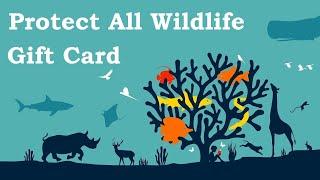 PROTECT ALL WILDLIFE STORE