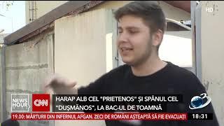 Perle Bacalaureat 2021, sesiunea de toamnă: Harap Alb a fost prietenos, însă Spânul a fost dușmănos