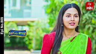Rangula Ratnam | 17th June 2024 | Full Episode No 809 | ETV Telugu