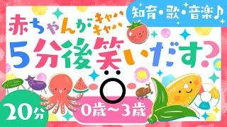 赤ちゃんが5分後笑いだす？【赤ちゃんが喜ぶ】ö│泣き止む笑う寝る動画│歌・音楽│乳児・幼児向け知育番組│0歳/1歳/2歳/3歳【知育アニメ】