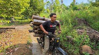 Selesai Survei Tanah, Aku Ajak Adik Adik, Cari Kayu Bakar Untuk Ibu