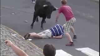Cow Attack on People| BullFighting Festival| It's Not Funny Video| funny video 2019