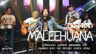 รวมเพลงฮิต Maleehuana