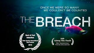 The Breach ~ Feature Documentary