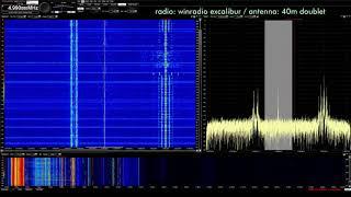 Radio Apintie 4990 04-11-2019 0230z