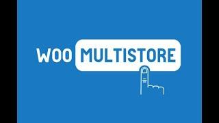 WooCommerce Multistore product and stock sync plugin by WooMultistore
