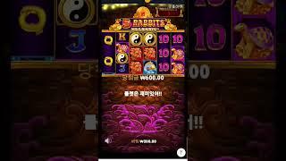 [슬롯] 최소금액 배팅으로 MAXWIN먹기!!! #오라메 #5lions #카지노