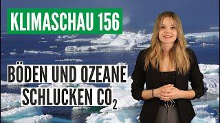 CO2-Senken machen nicht schlapp - Klimaschau 156