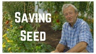 Seed Saving