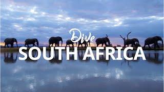 Scuba Diving in South Africa