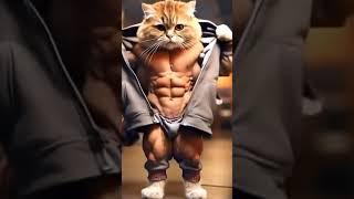 cat funny#shortsfeed #trending #cat #funny #comedy#trendingshorts  #catlover #gym #cute